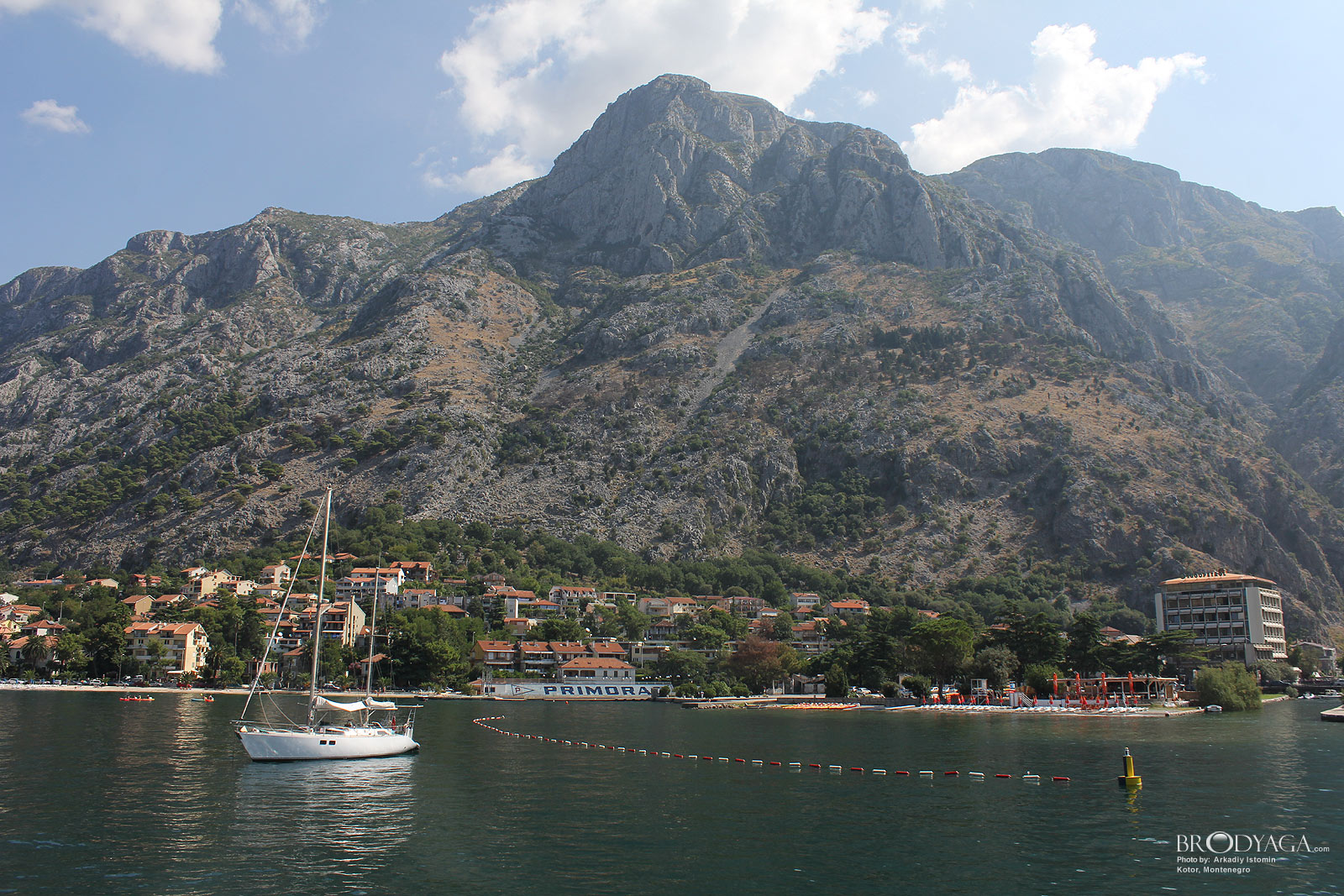 Kotor